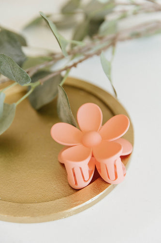 Daisy Claw in Coral